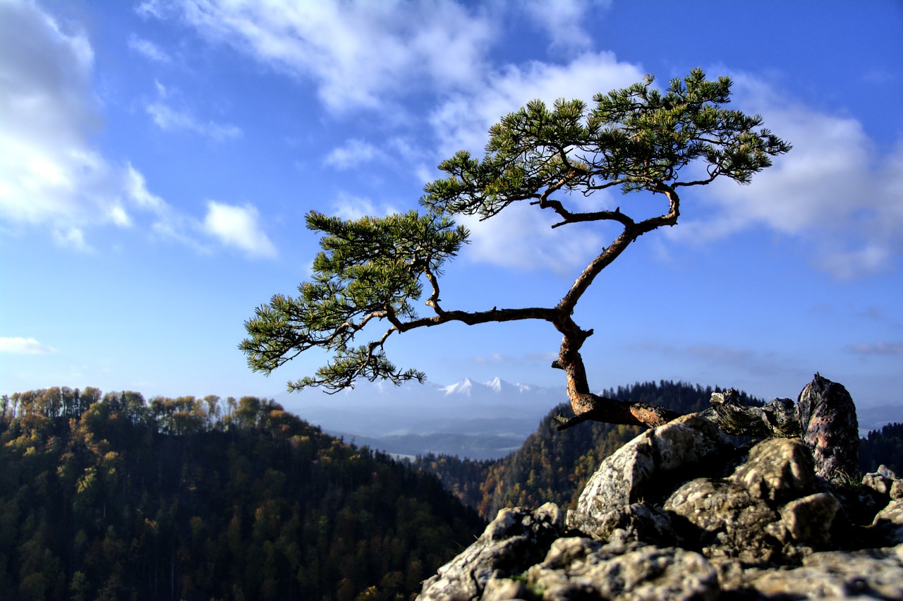 Pieniny góry