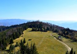 Szczyt Lubań - Pieniny